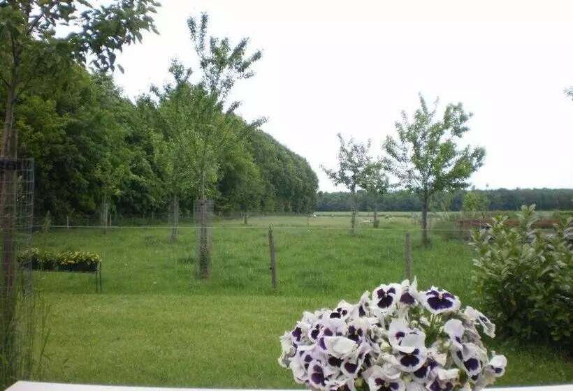 ベッドアンドブレックファースト Pipowagen Lidewei Groningen Westerwolde Unieke Ligging Met Eigen Tuin En Vrij Uitzicht Over Veld Naa