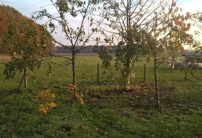 ベッドアンドブレックファースト Pipowagen Lidewei Groningen Westerwolde Unieke Ligging Met Eigen Tuin En Vrij Uitzicht Over Veld Naa