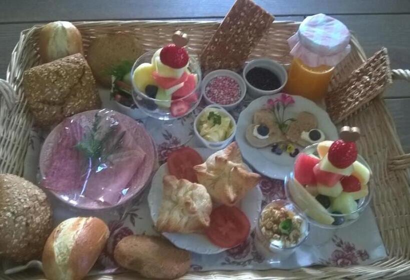 Bed and Breakfast Pipowagen Lidewei Groningen Westerwolde Unieke Ligging Met Eigen Tuin En Vrij Uitzicht Over Veld Naa