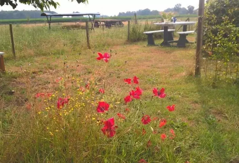 ベッドアンドブレックファースト Pipowagen Lidewei Groningen Westerwolde Unieke Ligging Met Eigen Tuin En Vrij Uitzicht Over Veld Naa