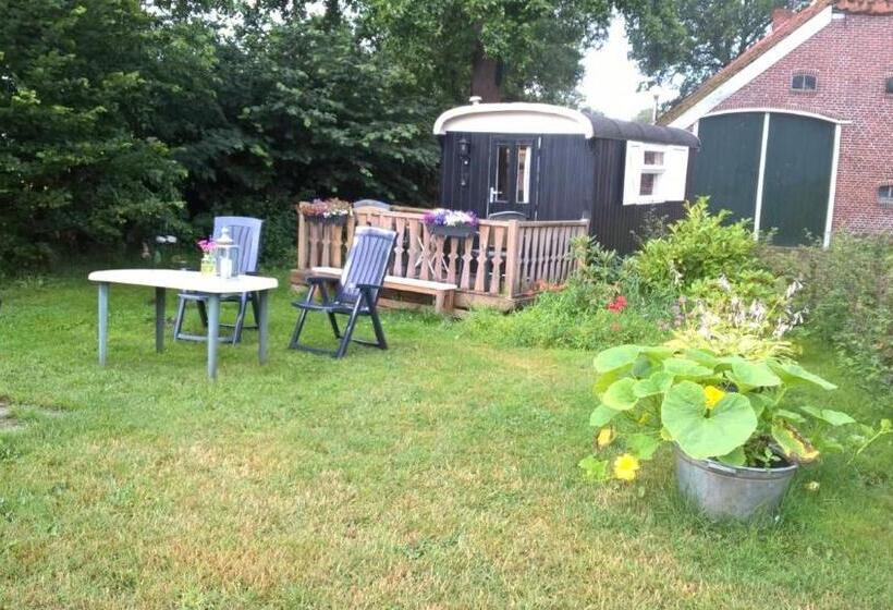 Bed and Breakfast Pipowagen Lidewei Groningen Westerwolde Unieke Ligging Met Eigen Tuin En Vrij Uitzicht Over Veld Naa