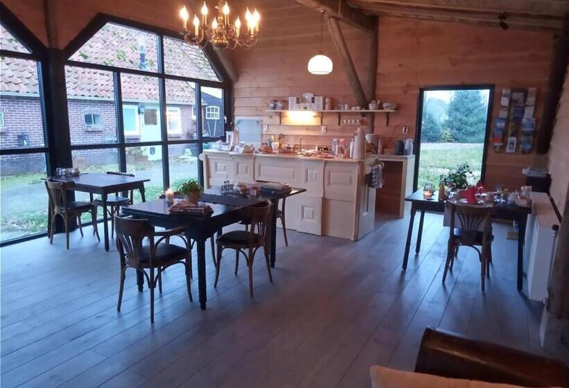 Bed and Breakfast Pipowagen Lidewei Groningen Westerwolde Unieke Ligging Met Eigen Tuin En Vrij Uitzicht Over Veld Naa