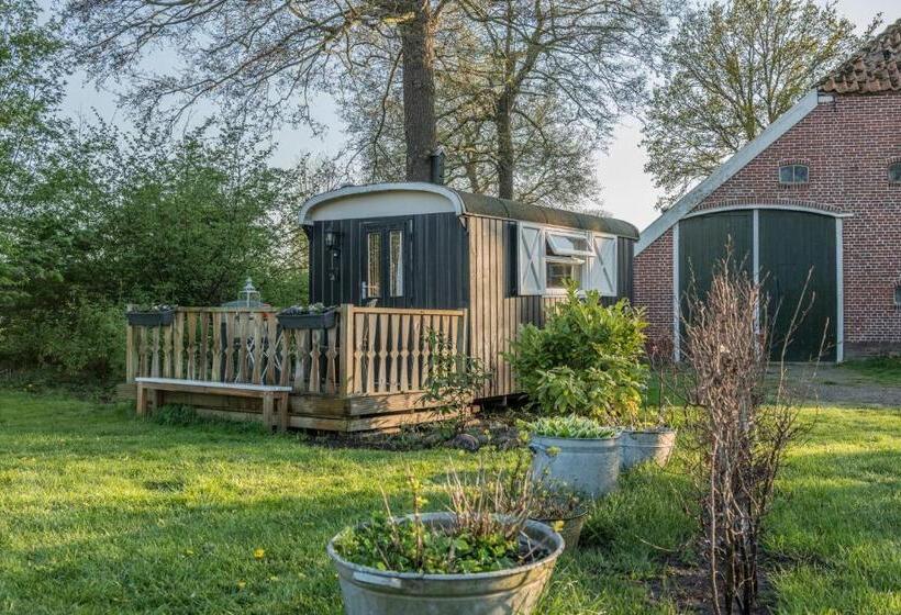 Bed and Breakfast Pipowagen Lidewei Groningen Westerwolde Unieke Ligging Met Eigen Tuin En Vrij Uitzicht Over Veld Naa