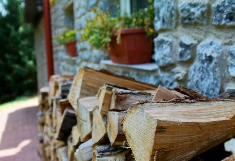 膳宿费 Velemi Vendégház