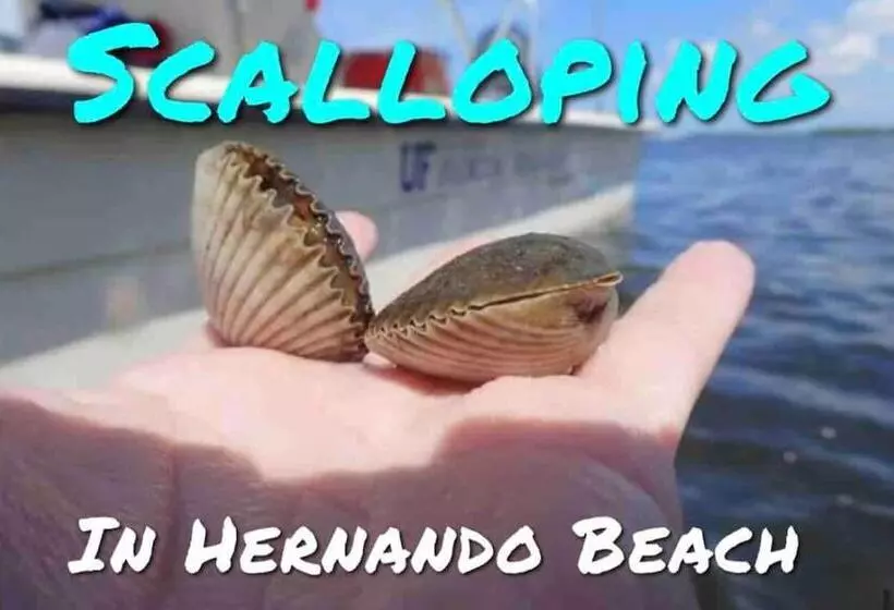 Saltwaterpool  Gameroom  Tropical Sunsets   Kayaks   Fishing