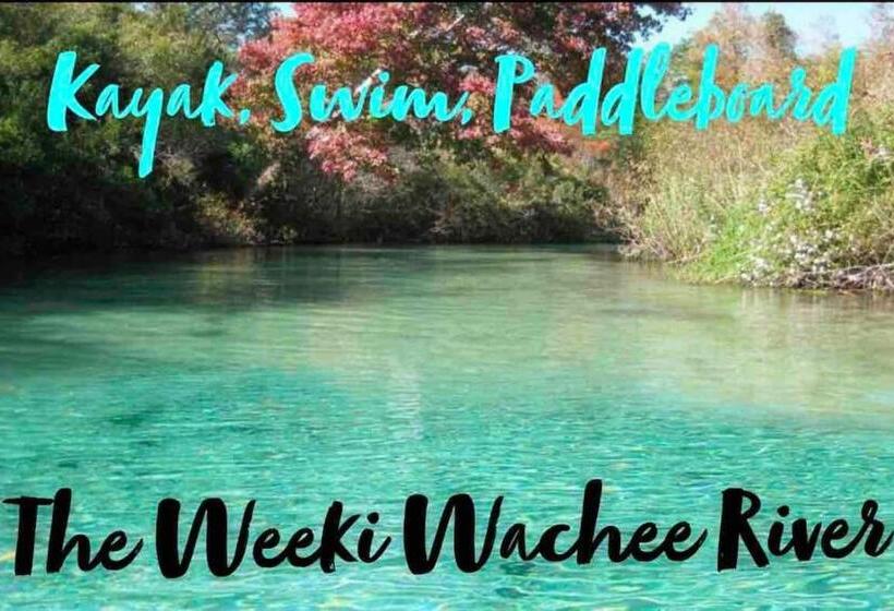 Saltwaterpool  Gameroom  Tropical Sunsets   Kayaks   Fishing