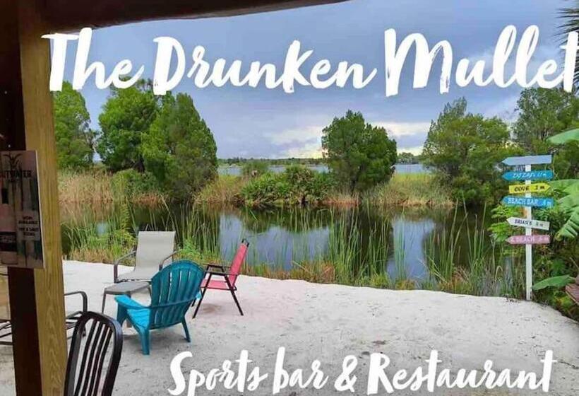 Saltwaterpool  Gameroom  Tropical Sunsets   Kayaks   Fishing