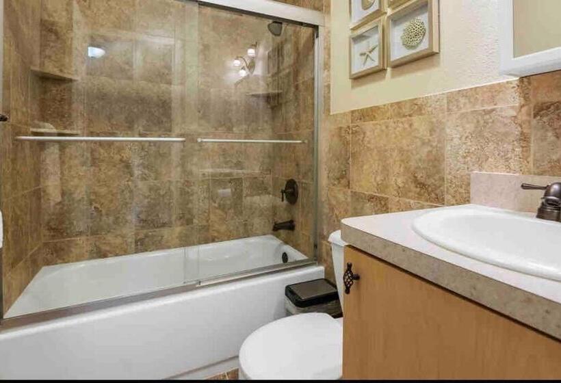 Saltwaterpool  Gameroom  Tropical Sunsets   Kayaks   Fishing