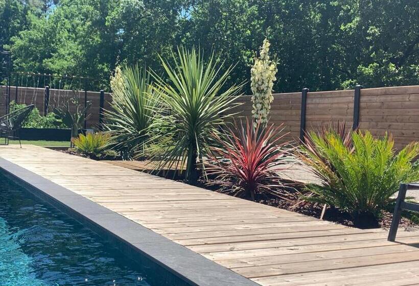 Villa Aux Palmiers,piscine 28°,pétanque,coeur Bassin