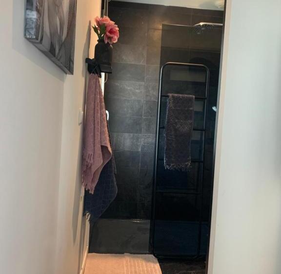 Villa Aux Palmiers,piscine 28°,pétanque,coeur Bassin