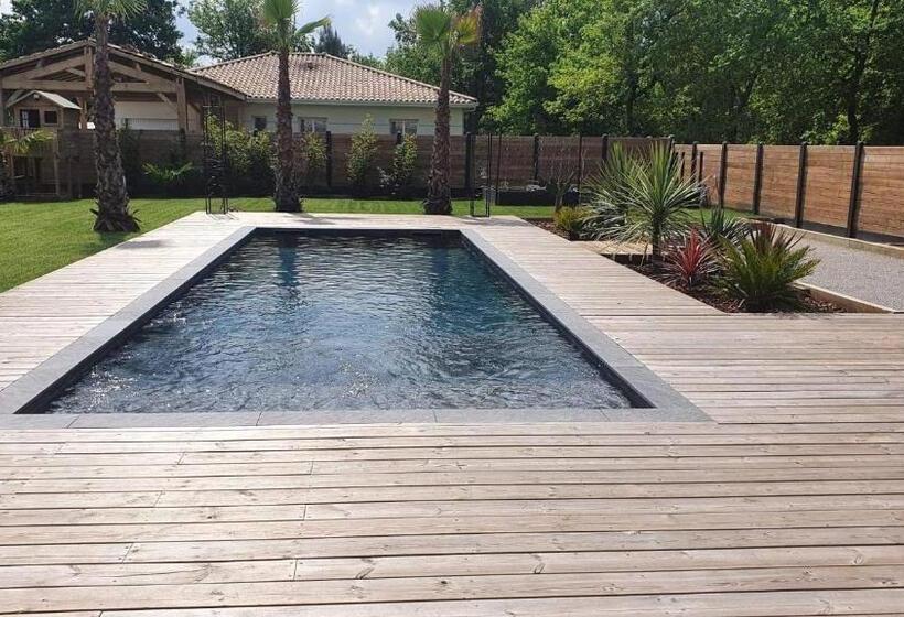 Villa Aux Palmiers,piscine 28°,pétanque,coeur Bassin