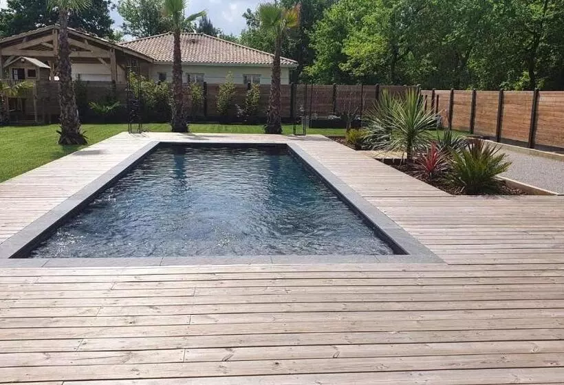 Villa Aux Palmiers,piscine 28°,pétanque,coeur Bassin