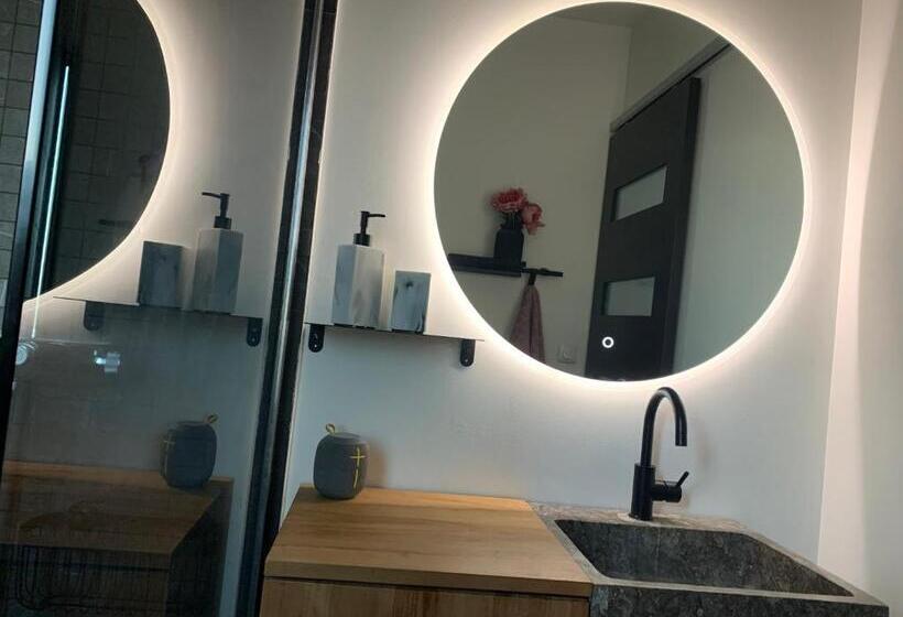 Villa Aux Palmiers,piscine 28°,pétanque,coeur Bassin