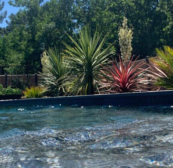Villa Aux Palmiers,piscine 28°,pétanque,coeur Bassin
