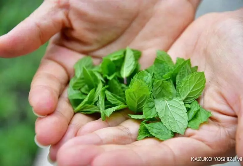 ユースホステル Amrita Villa Sidemen