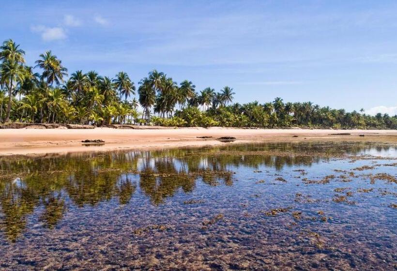 旅馆 Sup House Barra Grande