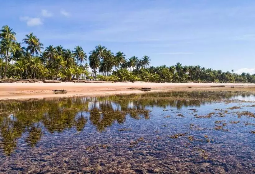 هاستل Sup House Barra Grande