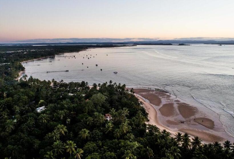 旅馆 Sup House Barra Grande