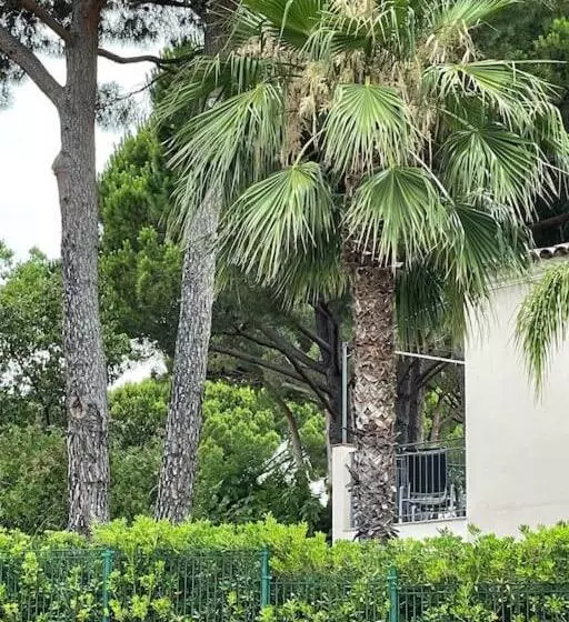 Casa Rama St Tropez