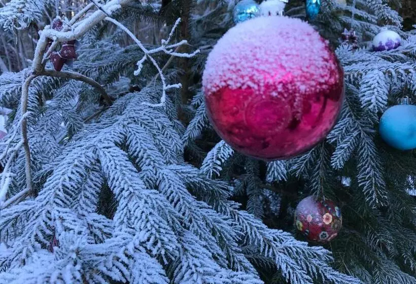 Ferienwohnung Glusavinahüsle