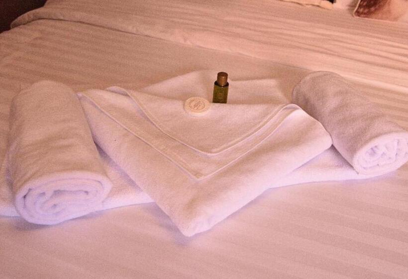 پانسیون Casa Optim