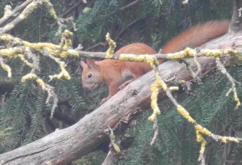 بنسيون Casa Zura