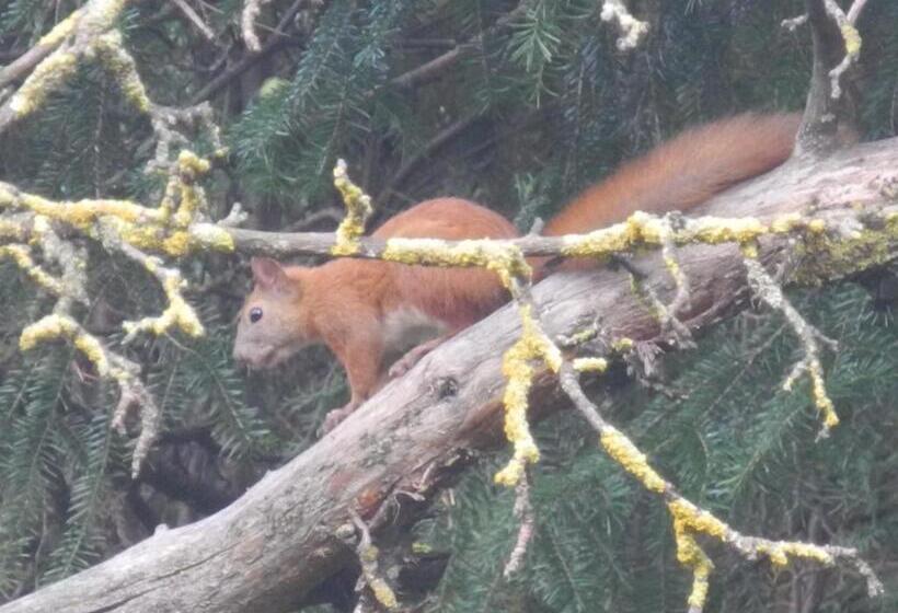 بنسيون Casa Zura