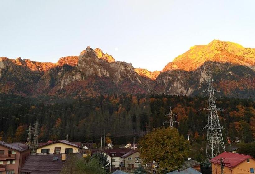 بنسيون Casa Zura