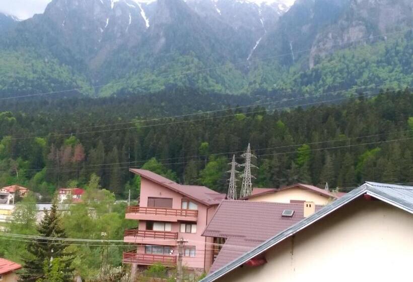 بنسيون Casa Zura