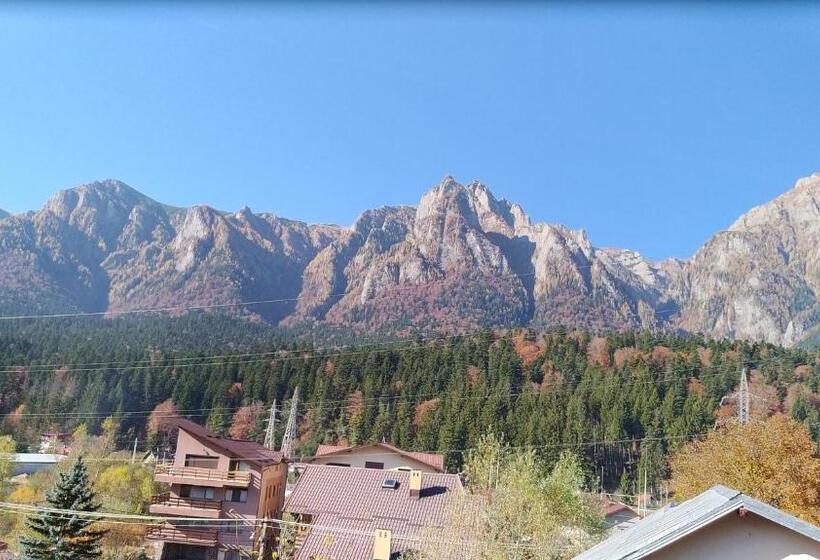 بنسيون Casa Zura