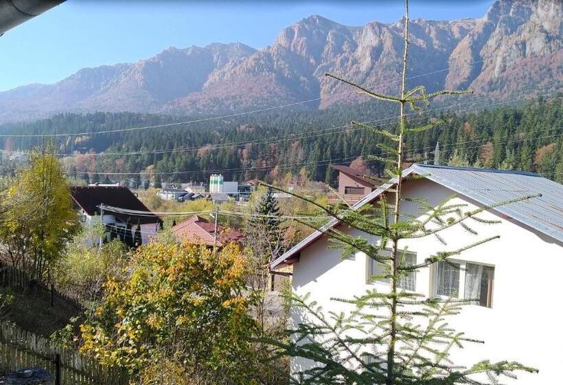 بنسيون Casa Zura