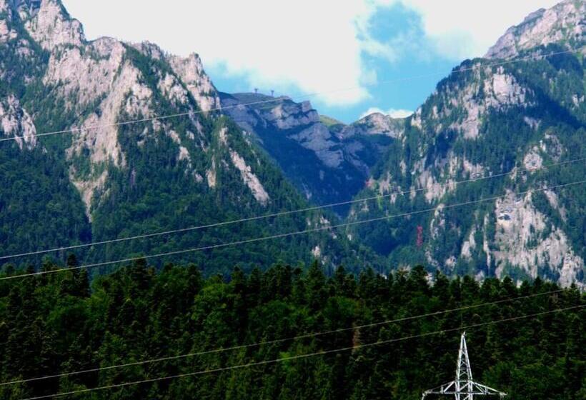 بنسيون Casa Zura