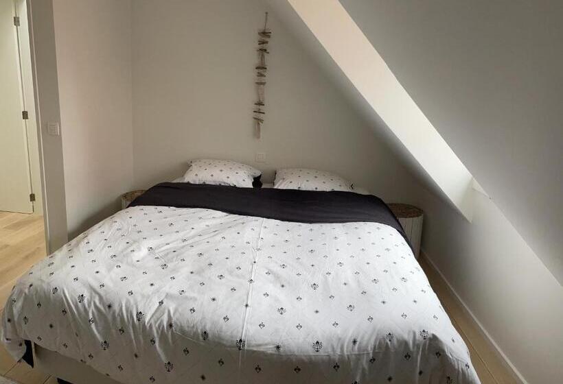 Residentie Square Nieuwbouw 50 M Van De Zee