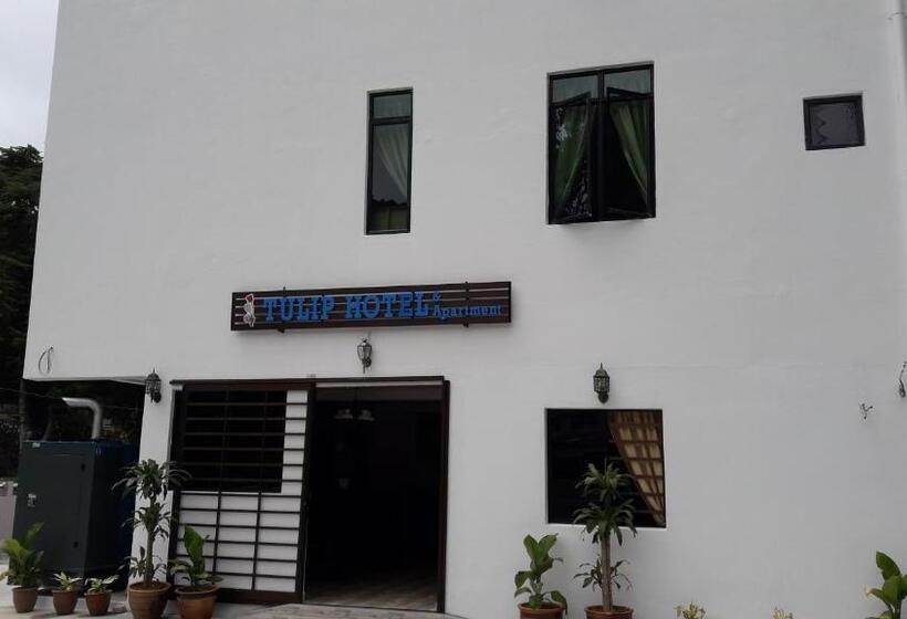 Tulip Hotel & Apartment