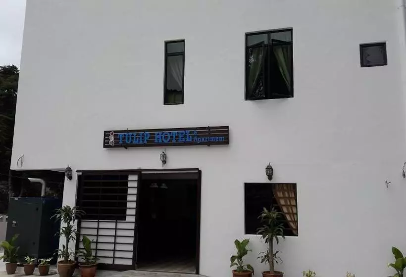 Tulip Hotel & Apartment