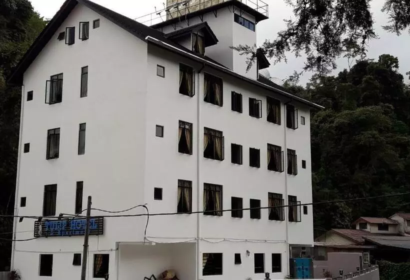 Tulip Hotel & Apartment