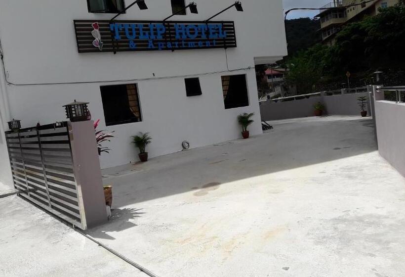 Tulip Hotel & Apartment