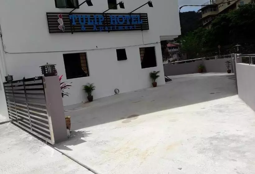 Tulip Hotel & Apartment