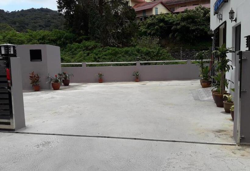 Tulip Hotel & Apartment