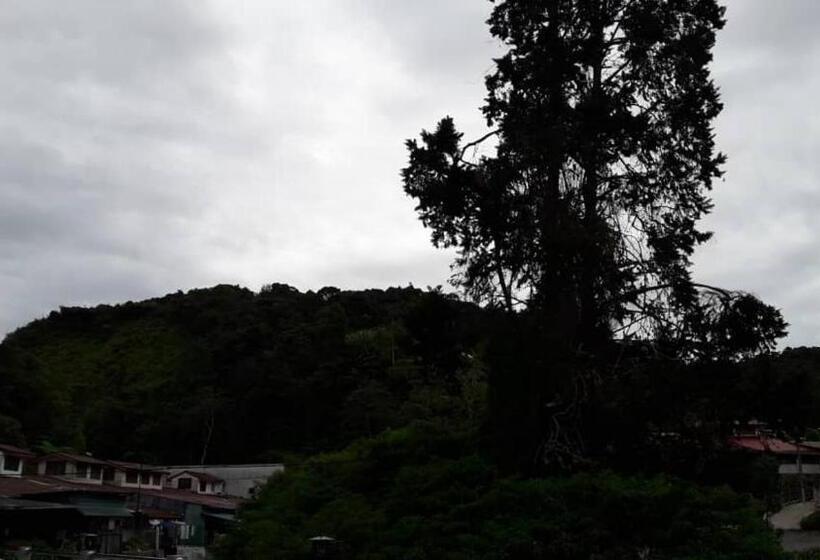 Tulip Hotel & Apartment