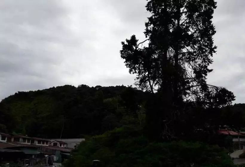 Tulip Hotel & Apartment