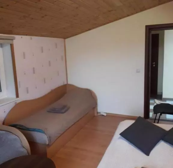 هاستل Ginto Svetingi Namai