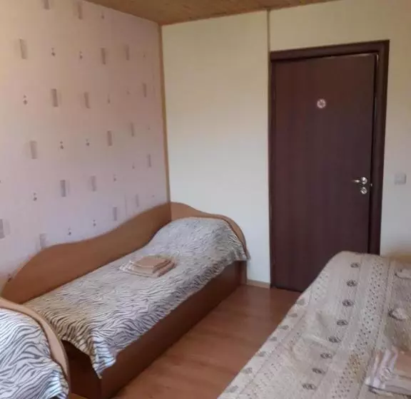 هاستل Ginto Svetingi Namai