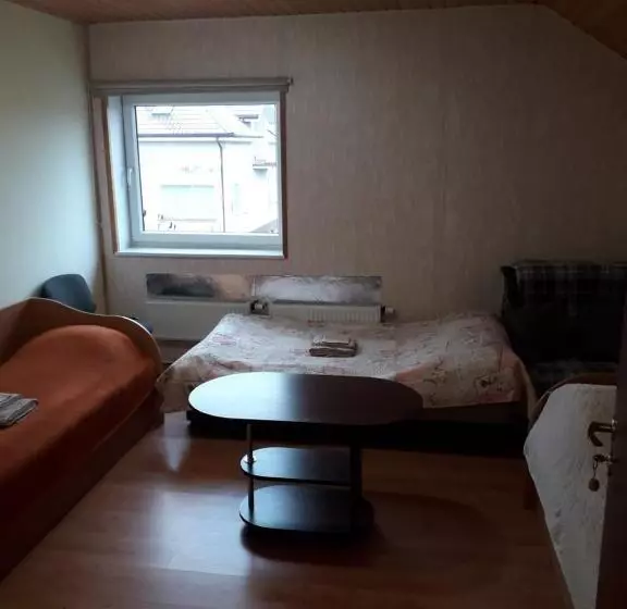 هاستل Ginto Svetingi Namai
