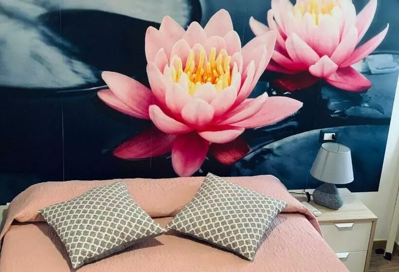 B&b Di Fiore