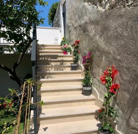 B&b Di Fiore