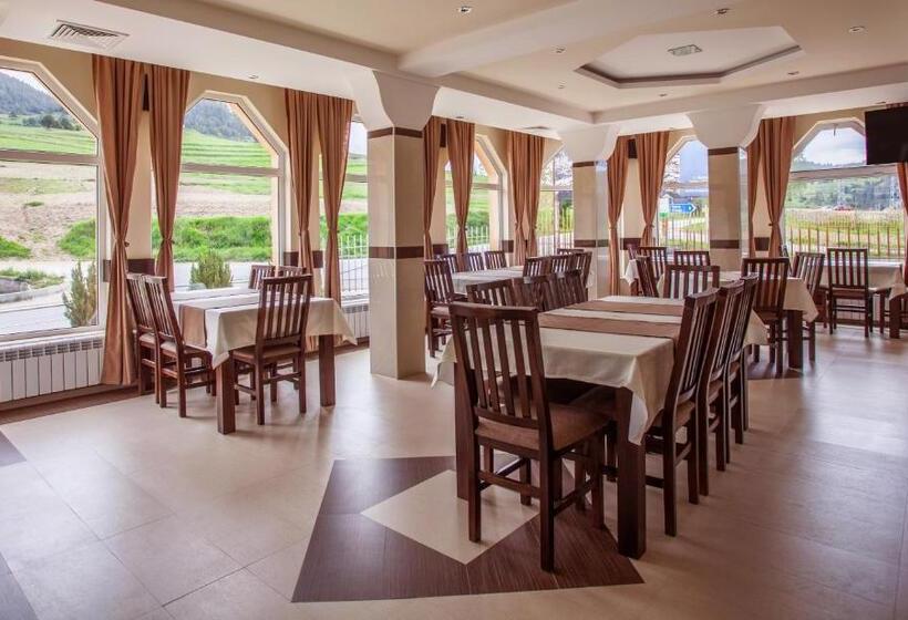 ホテル семеен хотел елеганс   борино