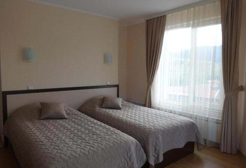 ホテル семеен хотел елеганс   борино