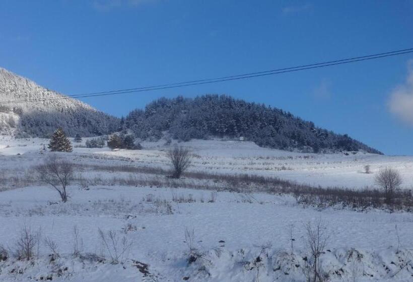 ホテル семеен хотел елеганс   борино