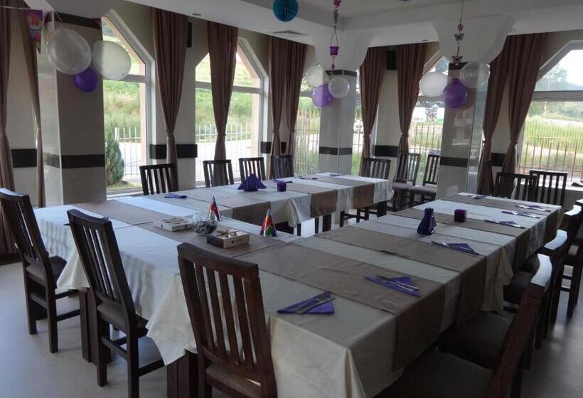 ホテル семеен хотел елеганс   борино